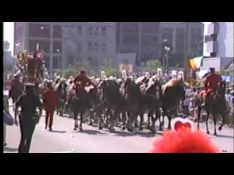 Schlitz 40 Horse Hitch, 16 JUL 89