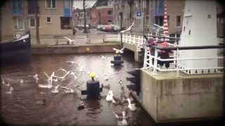 Leftovers (Cayucas - Moody Eyed Walrus)