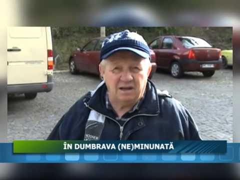 DUMBRAVA NEMINUNATA