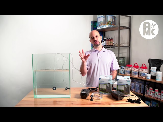 Judge.me YouTube video placeholder