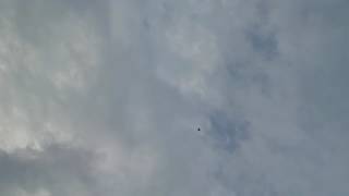 Download lagu Surabaya juwingan merpati kentong SPANYOLL PART2 mp3