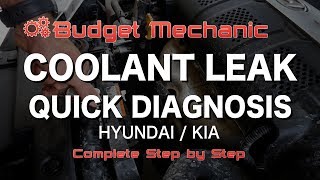 Radiator Coolant Leak Hyundai - How to Find and Diagnose - Elantra
