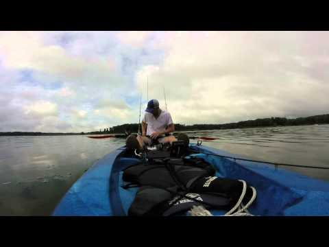 Ascend FS12T Fishing before the Storm - The Angling Experience