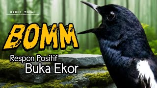 Download lagu Pancingan Kacer Agar Emosi Langsung Buka Ekor  mp3