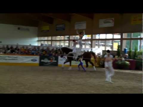 Volti SM 2011 - Kür NPZ1 - Kategorie A - Rosental