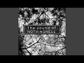 The Sound Of Nothingness