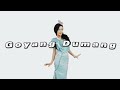 Goyang Dumang Cita Citata Slowed Reverb