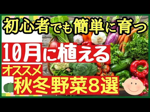  10月に種をまくべき野菜は何ですか?家庭菜園で簡単にできる種まき 5 つ  庭園