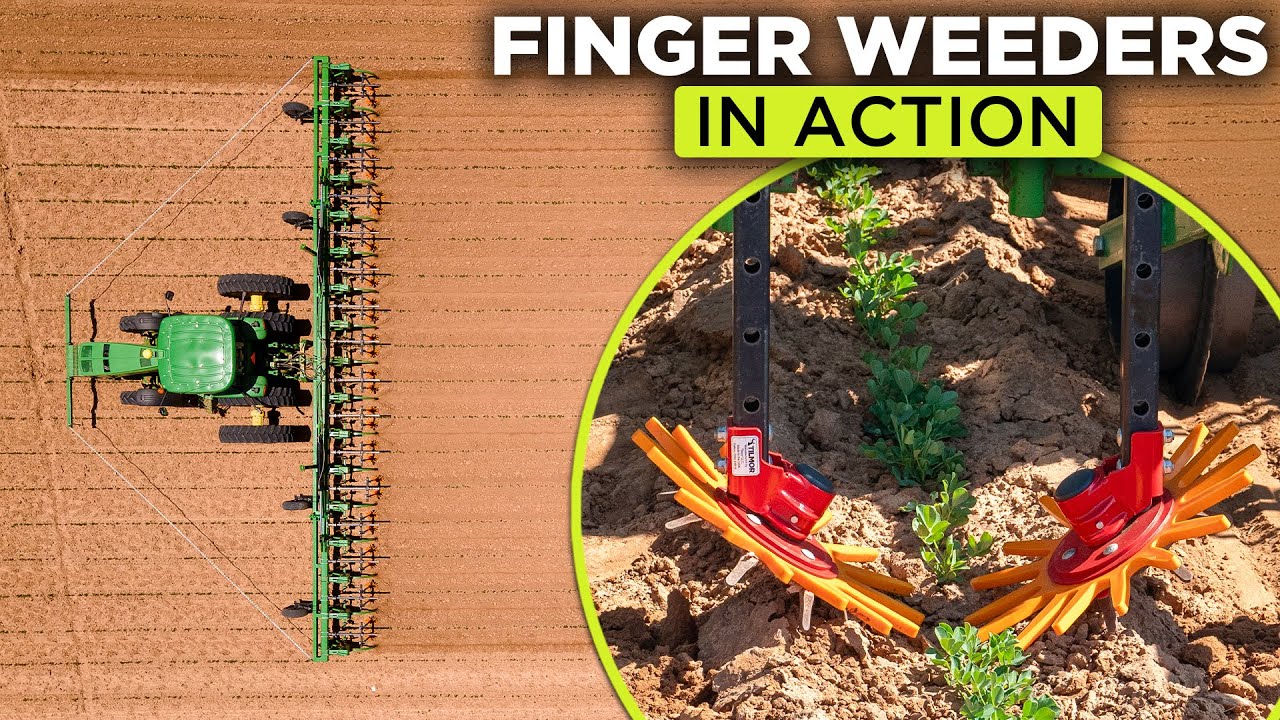 Improving Large Farm Weed Control | Trailing Arm Kits For Any Size Cultivator