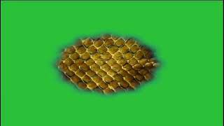 Download lagu Nagin skin in green screen mp3 Download lagu Nagin skin in green screen mp3