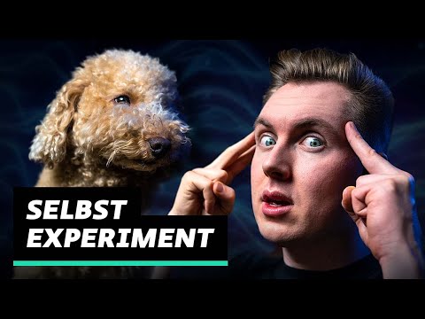 Das kuriose Geschäft mit der Tierkommunikation