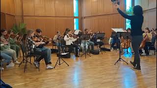 Traditional: Polly, Wally, Doodle