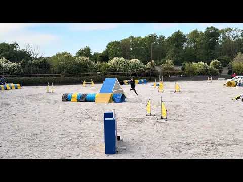 Heyle na agility, video