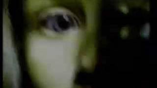 the Amorphous Androgynous-the Mello Hippo Disco Show