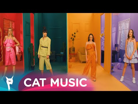 Tiny Tigers - AHA AHA