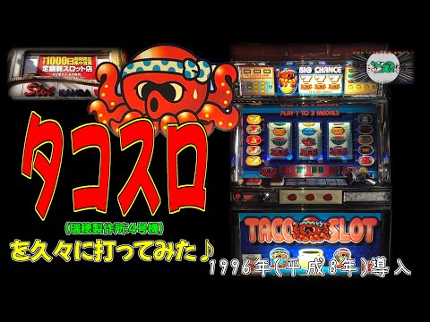 タコスロの動画