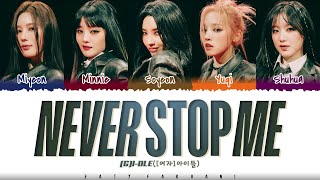 Cover art for Never Stop Me