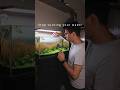 Stop Ingesting Your Tank Water By Using This Tip Aquascaping Aquascape Aquascaper Tutorial