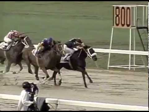 Copa Confraternidad 1998 - Steffany's (PAN)