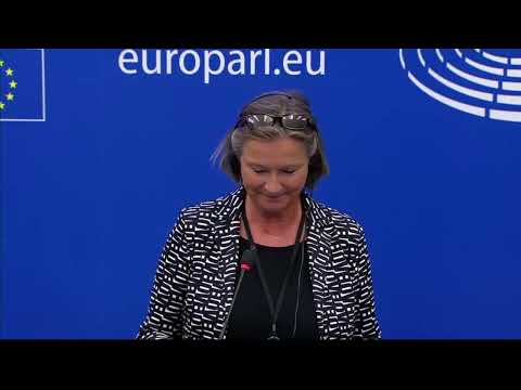 Bettina Vollath: EU Commission must follow up on infringement procedures against Hungary!