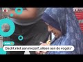 Vrouw gaat terug naar oorlogsgebied om haar vogels te redden