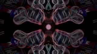 Busdriver (the church)(Of Skins And Heart)