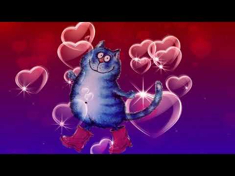 Коты Рины Зенюк запели на грузинском, услышав Nino Chkheidze da Shalva Moreli - bednieri var! Вах!)