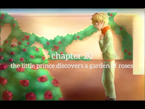 The Little Prince, chapter 20