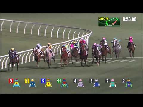 21/4/2021 (611) The Runner - Matthew Poon