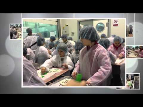 LA GALLOFA AMPA ANTONIO MENDOZA-Visualización