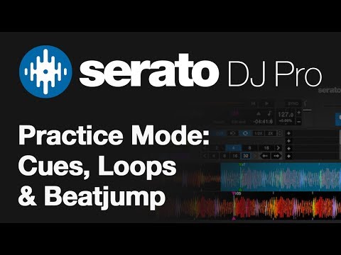 Free Download Serato DJ Pro v4.0.3 WiN x64-P2P