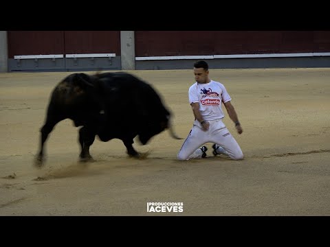 I Eliminatoria Campeonato de España de Recortadores con Toros - Madrid (28-06-25)