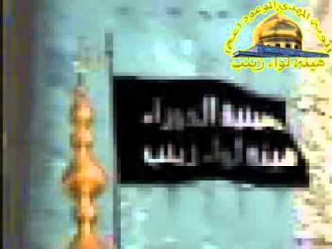 ⁣هيئة لواء زينب||حيدر الفريجي