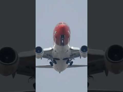 239 Almas DESAPARECIDAS en un vuelo hace 14 años 😨#short