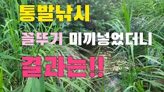 통발낚시 바다생선 꼴뚜기 미끼로 통발을 놔 봤더니~~~ 결과는