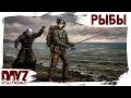 25 HOLY FISHES DayZ THE EXPENDABLES 3 0 Season 26 Patch 1 28