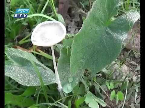 রাজবাড়ীতে বইছে শীতের হাওয়া