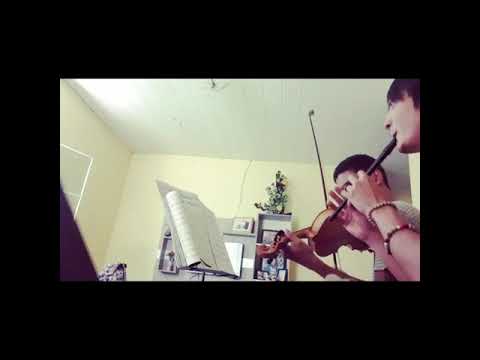 Planxty Irwin - Tin whistle and fiddle duet (feat. @felipedsfc)