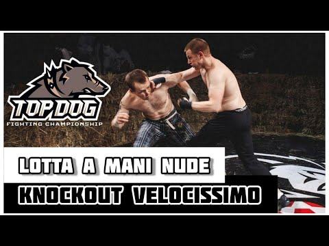 BOXE a mani nude | COMBATS à poings nus | BOXEO con puños desnudos