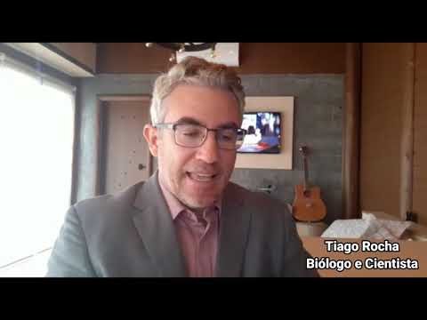 WHAT HAPPENS WHEN YOU USE CHAMOMILE TEA BEFORE BED. (Tiago Rocha)