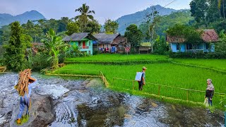 Download lagu Lestari Alamku, Lestari Desaku... Udara Sejuk Pemandangan Indah Alam Pedesaan mp3