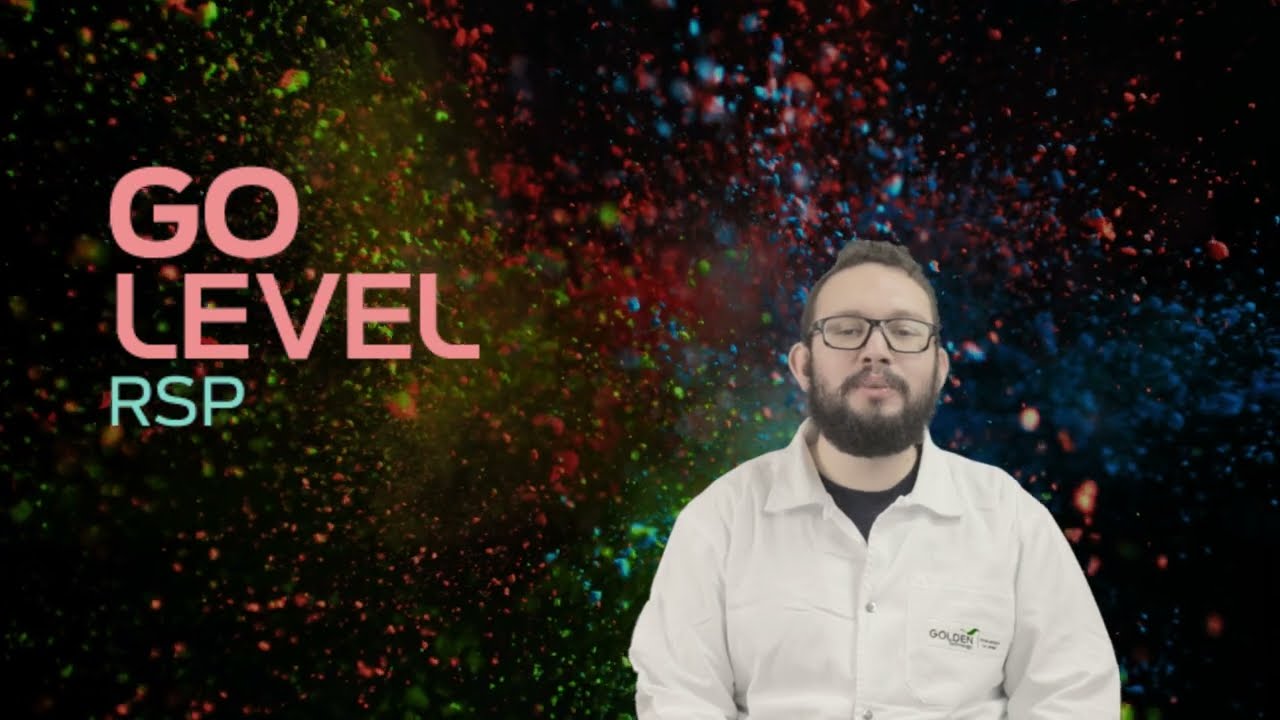 GoLevel RSP - PTBR