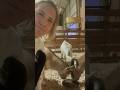 Goats Poop Never Smells Their Digestion Can Break Down Everything From Shoes To Foodwaste Fun
