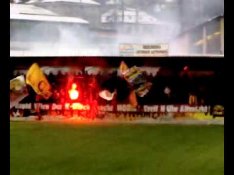 Dynamo Dresden - FK Teplice TIPSPORT LIGA 2010 Děčín