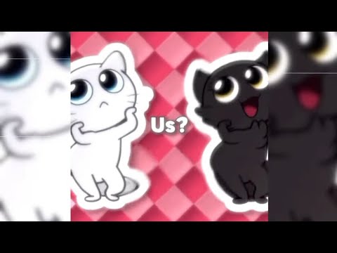 CONFESS YOUR LOVE FUNK - PREY - (Slowed & Reverb) - (Tiktok Version)