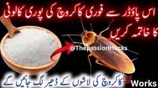 Mosquito , lizard, cockroach, mouse Trap/How To Get Rid of Cockroaches in Kitchen and home