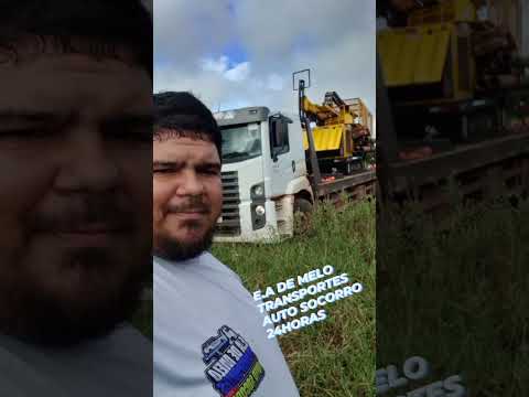 guincho Alto horizonte goias