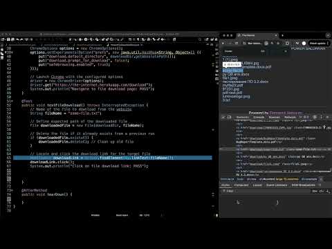 How To Assert File Download Tutorial Selenium Testng Java