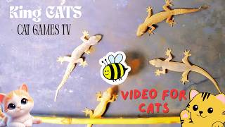 Download lagu Cat games!Video for cats!How interesting!There are so many house lizards for the cat to stalkCAT TV mp3