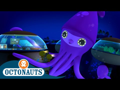 Octonauts - Colossal Squid & The Bowhead Whale | Cartoons for Kids | Underwater Sea Education